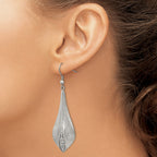 Stainless Steel Polished & Brushed Cubic Zirconia Drop Dangle Earrings for Women