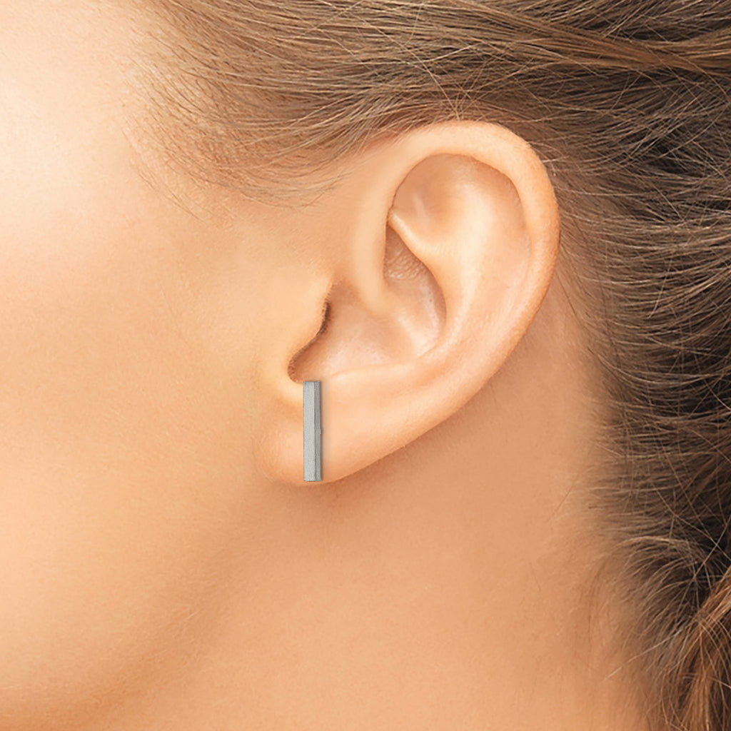 Titanium Brushed Drop Dangle Earrings for Women