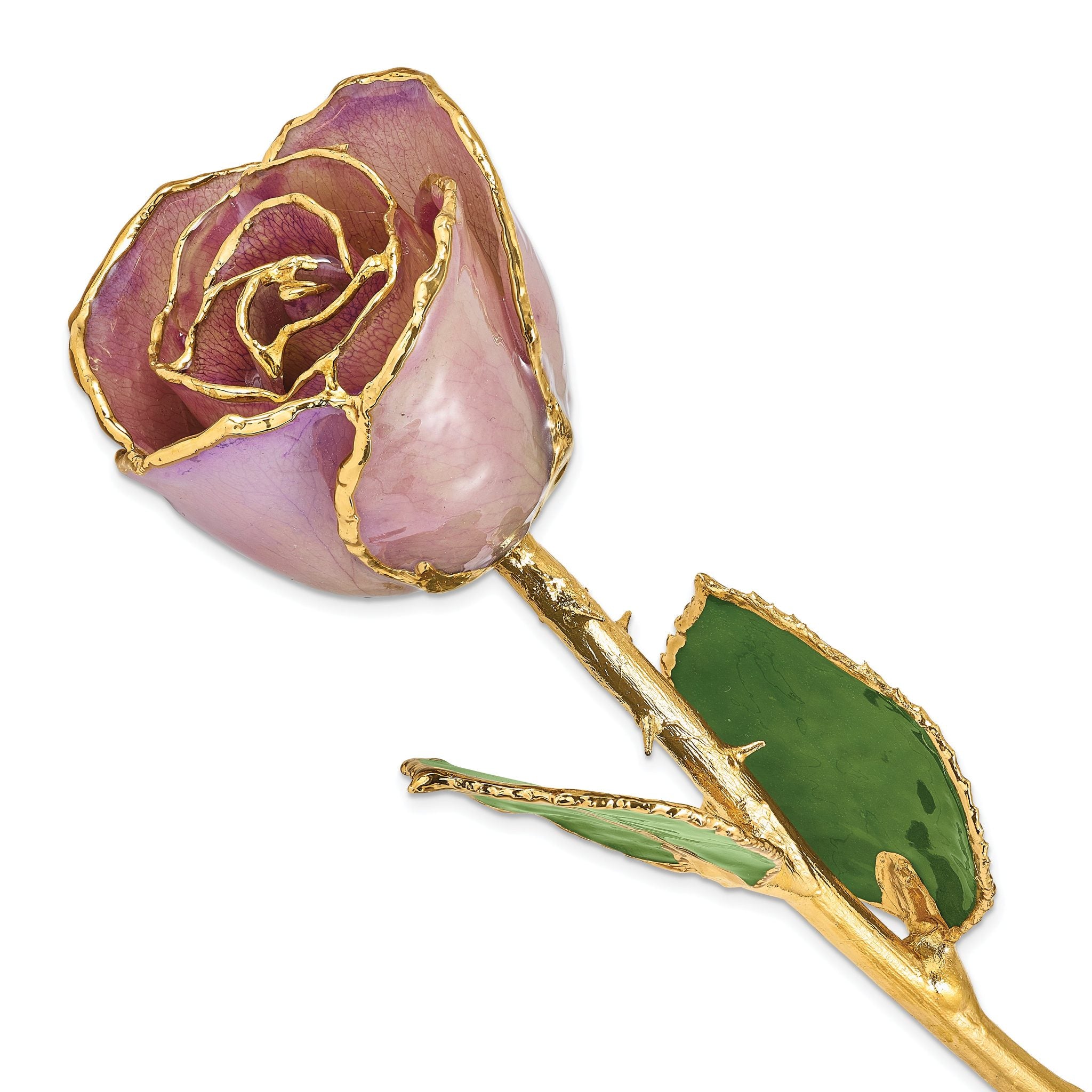 Lacquer Dipped Gold Trimmed Lavender Real Rose Main image