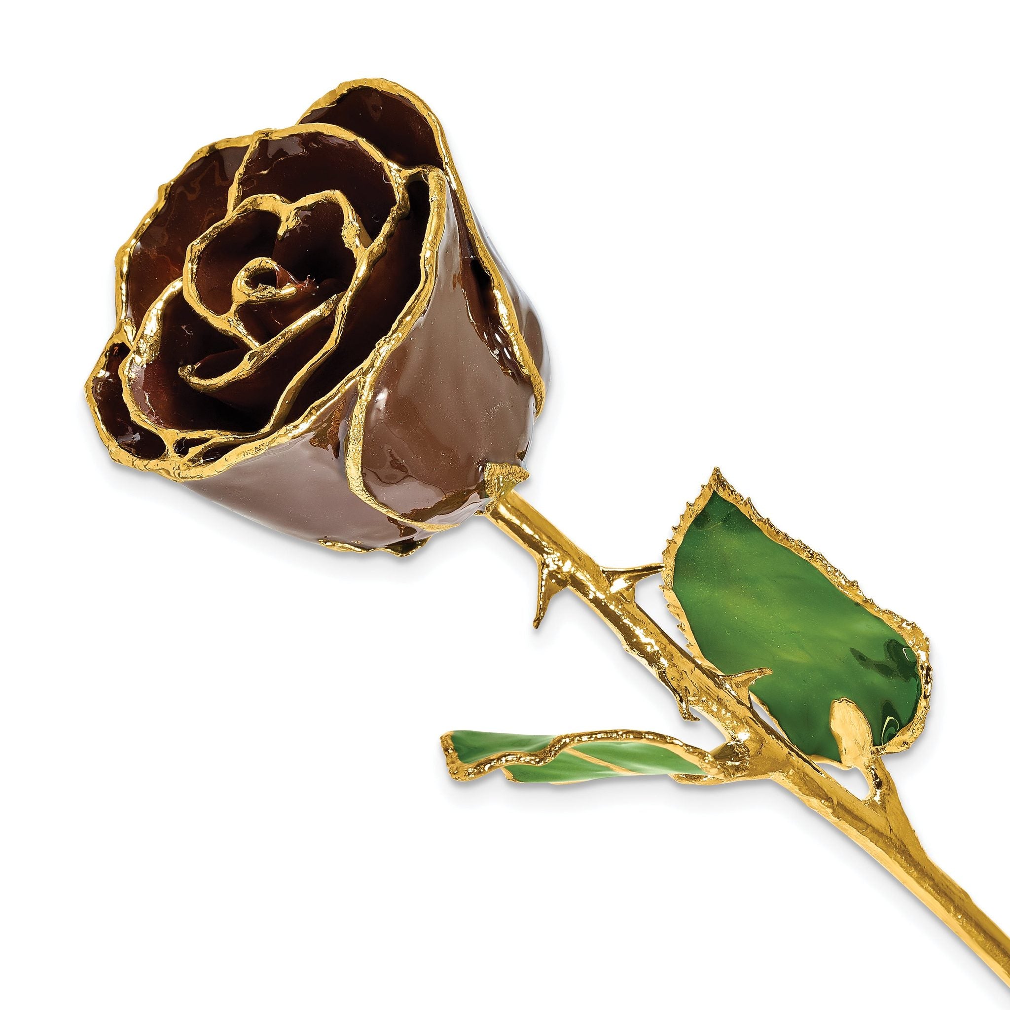 Lacquer Dipped Gold Trim Chocolate Brown Rose Main image