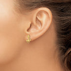 14K Gold Anchor Earrings with Rope Trim Polished Finish
