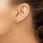 Stainless Steel Gold-Tone Polished Hoop Earrings for Women