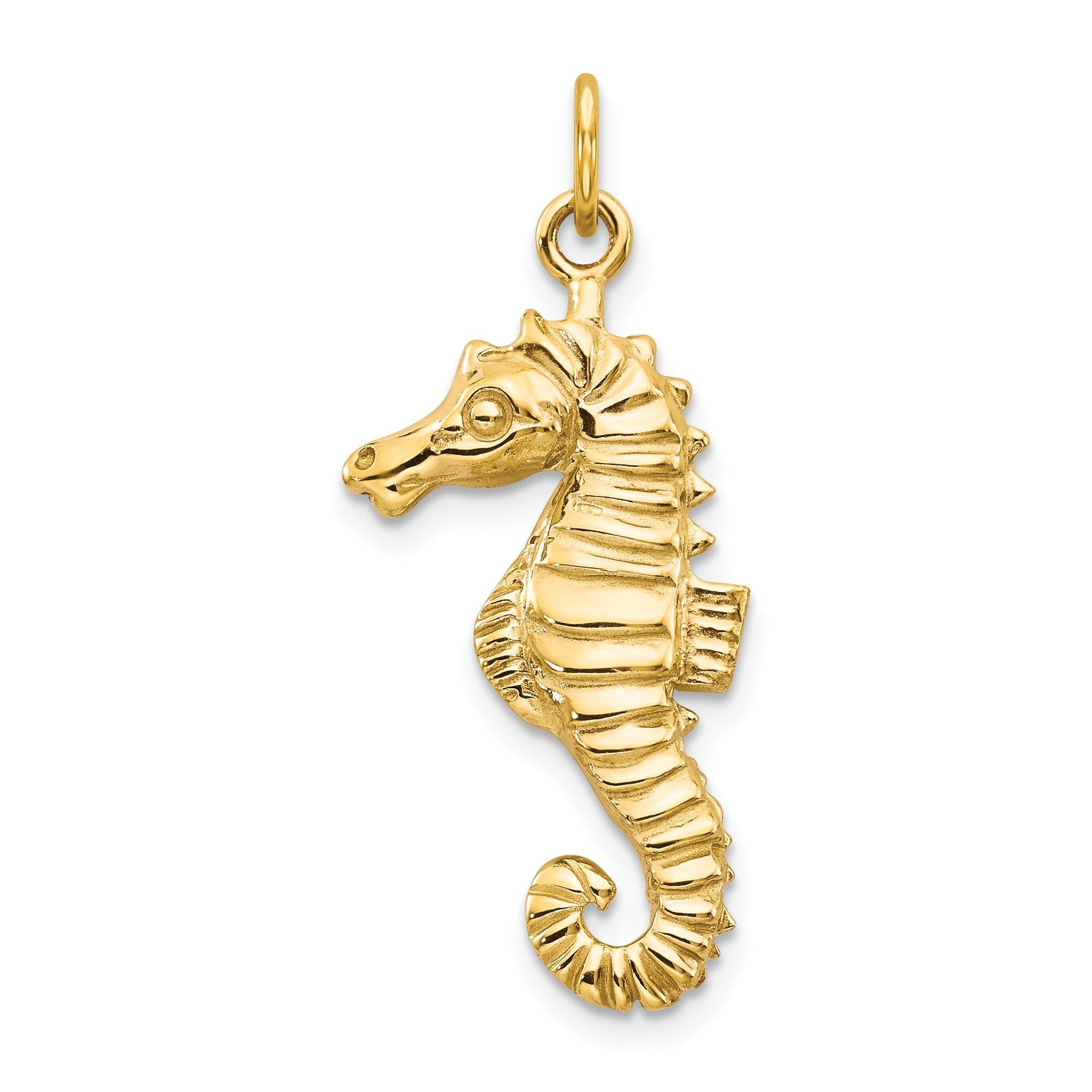 14K Gold Men's Seahorse Charm with Polished Finish Main image
