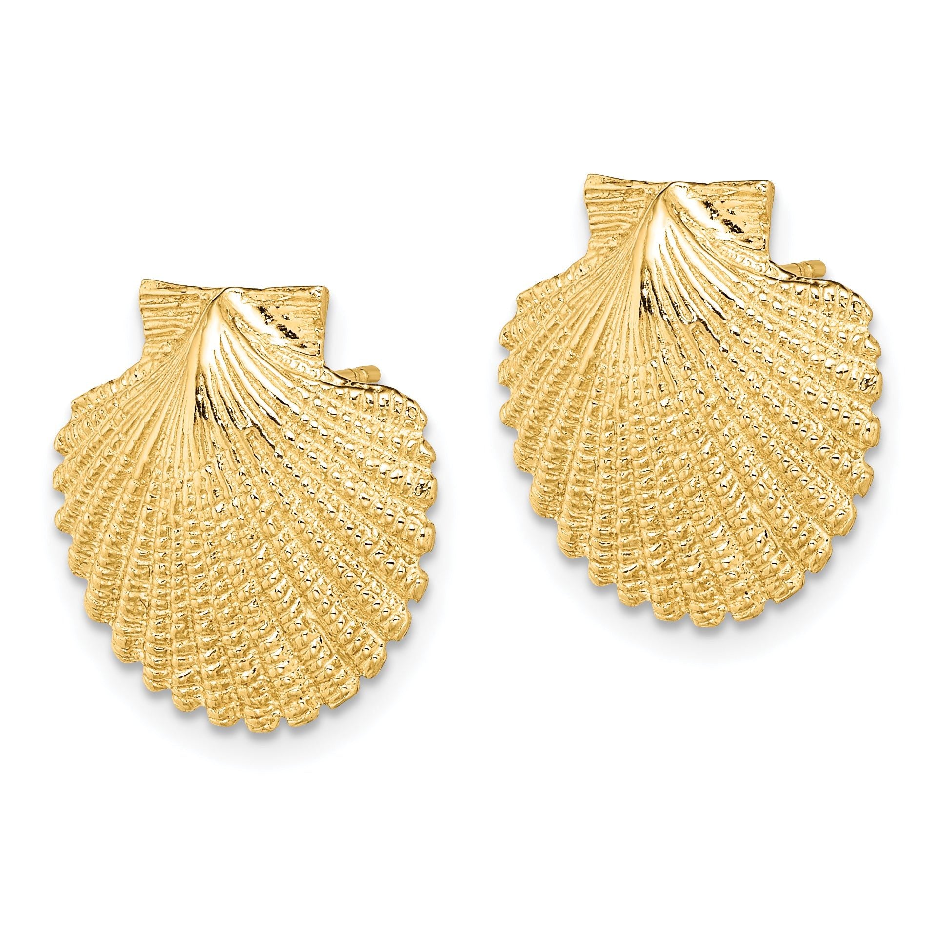 14K 2-D Textured Scallop Shell Post Earrings Secondary image