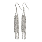 Stainless Steel Polished Drop Dangle Earrings for Women