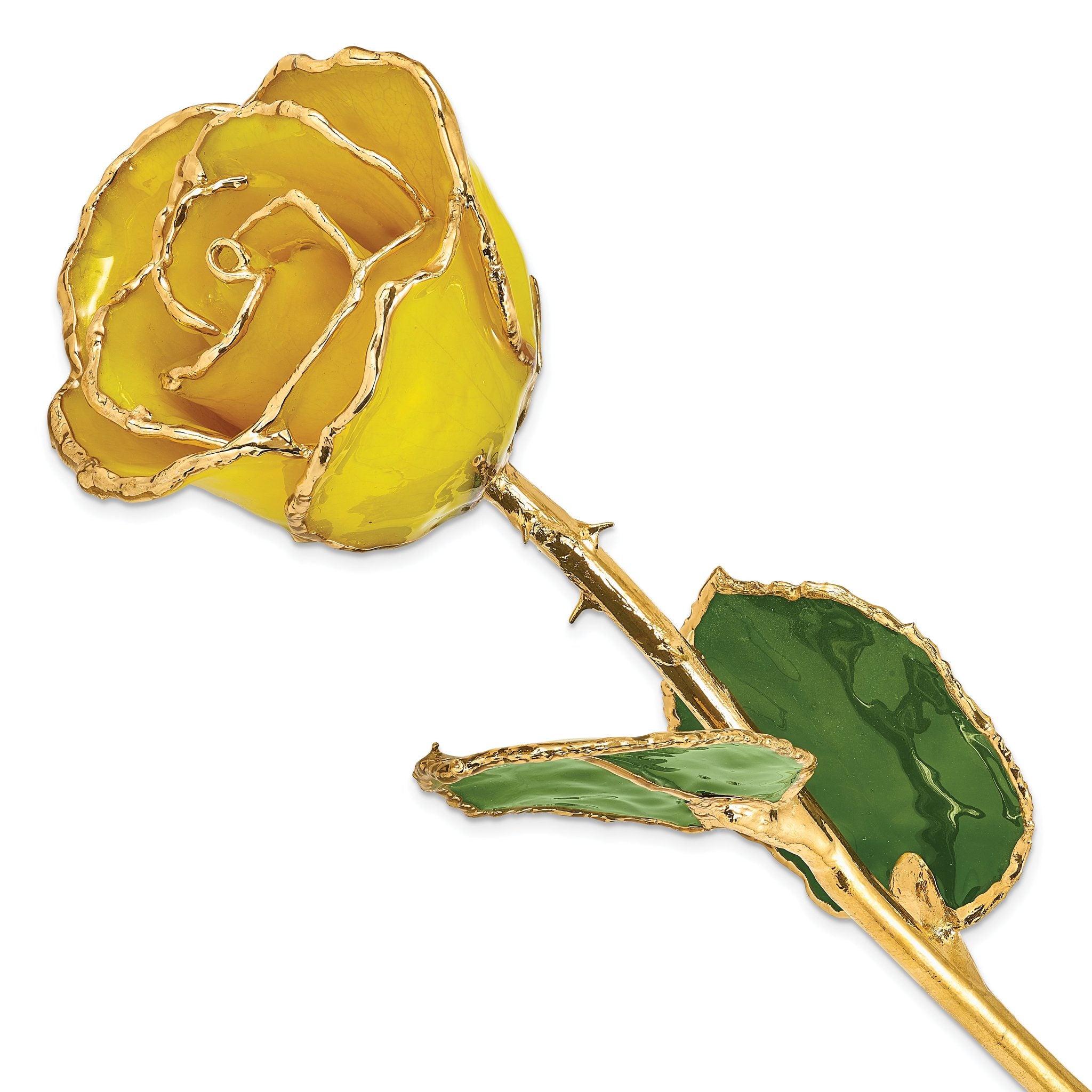 Lacquer Dipped Gold Trimmed Yellow Real Rose Main image