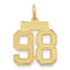 14K Gold Satin Number 98 Charm with Brushed Finish Small & Elegant