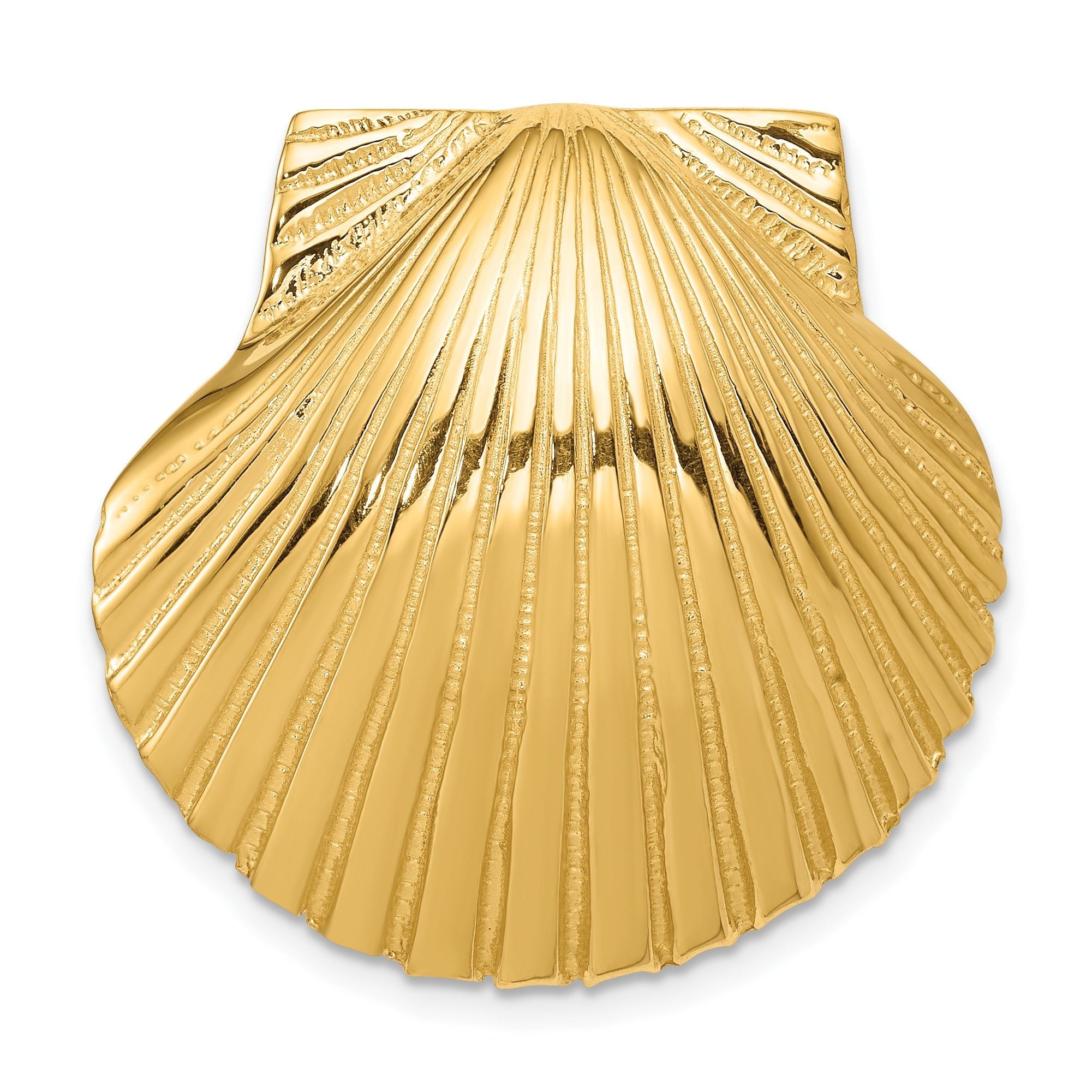 14K Gold Scallop Shell Slide Pendant  Fits 8mm & 10mm Omega Main image