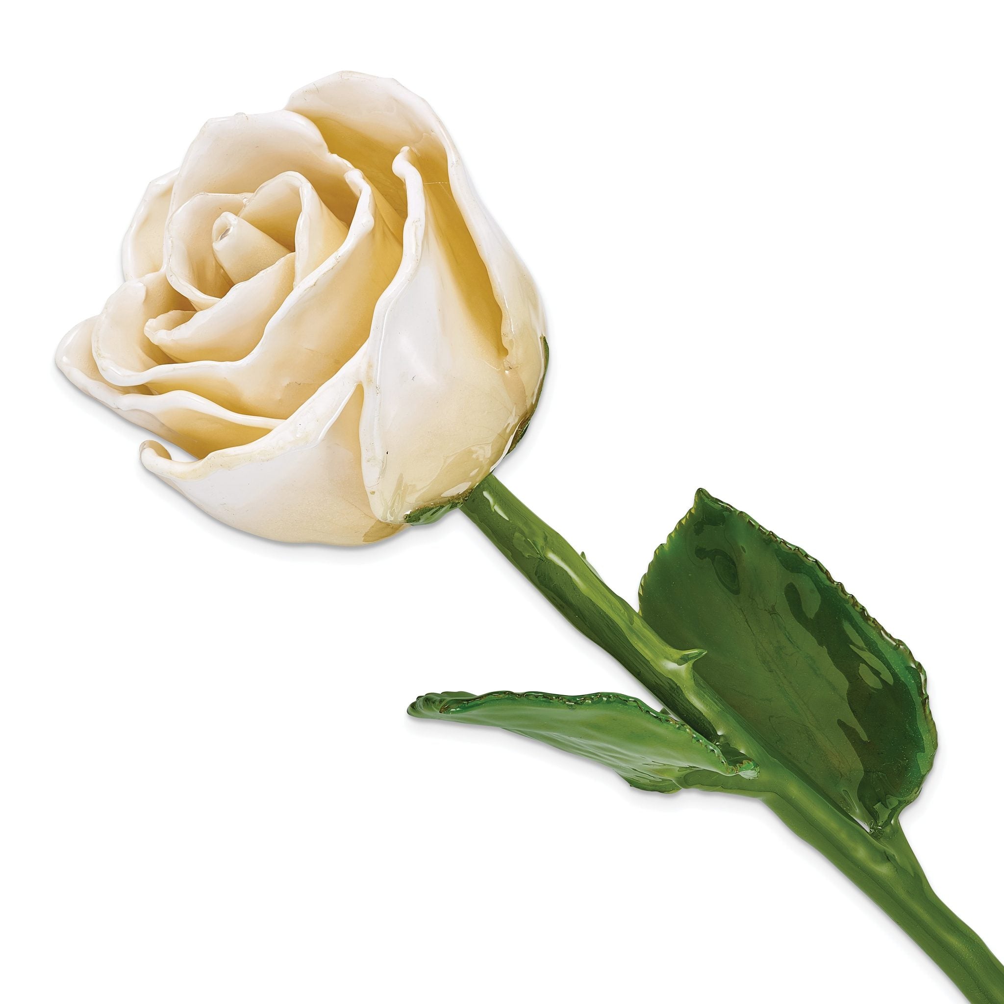 Cream/White Lacquer Dipped Natural Rose with Green Leaves and Stem Main image