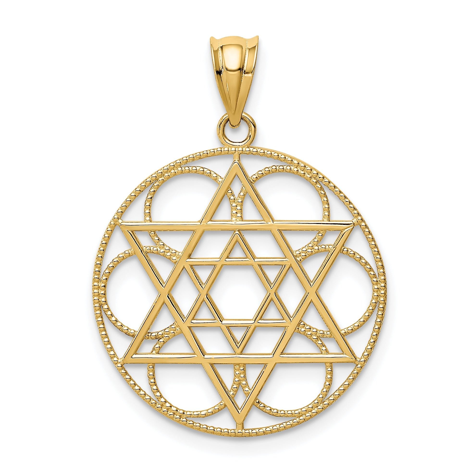 14K Gold Star of David Circle Pendant  Solid, Elegant Design by Sophia Jewelers Main image