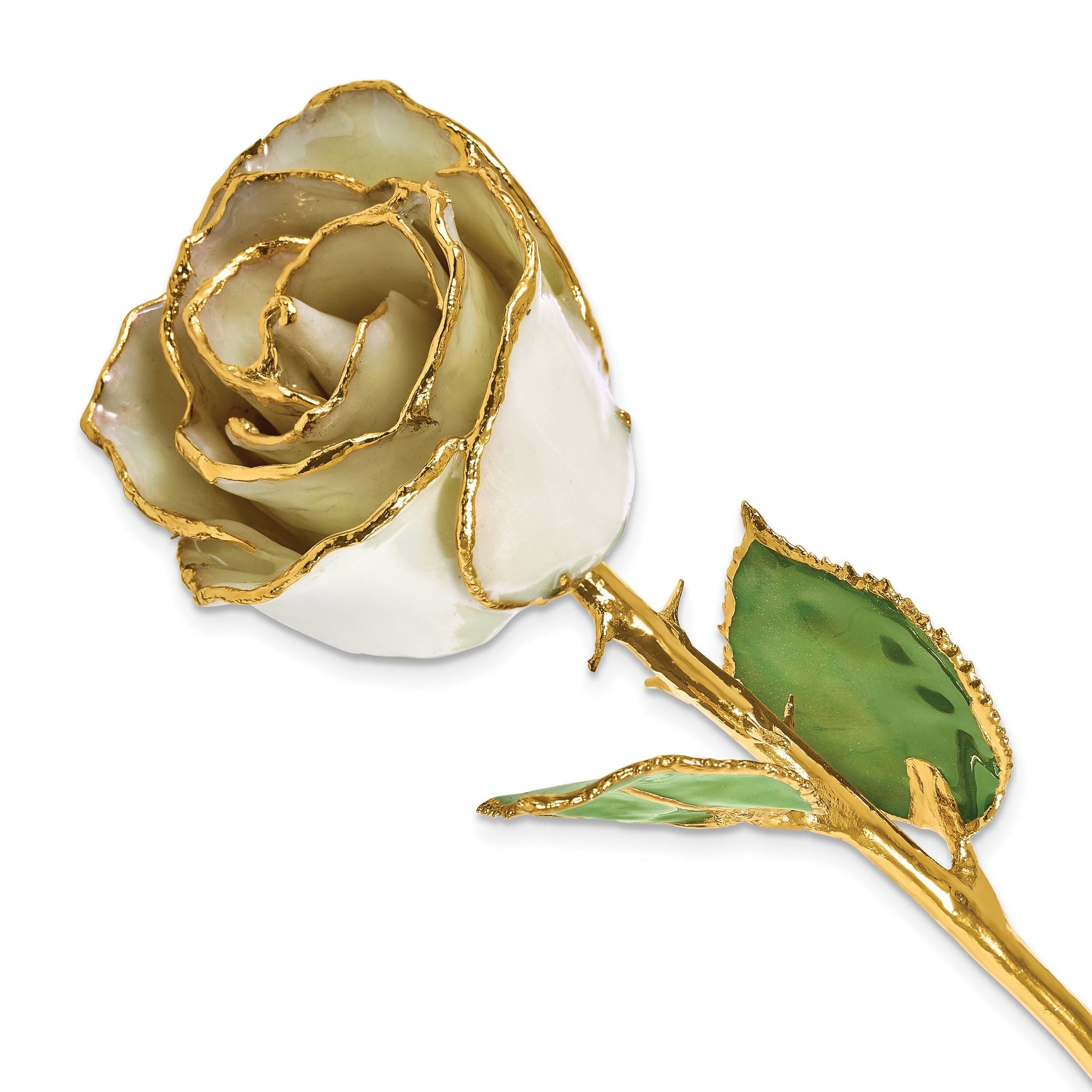 Lacquer Dipped Gold Trim June Birthstone Opal Pearl Rose Main image