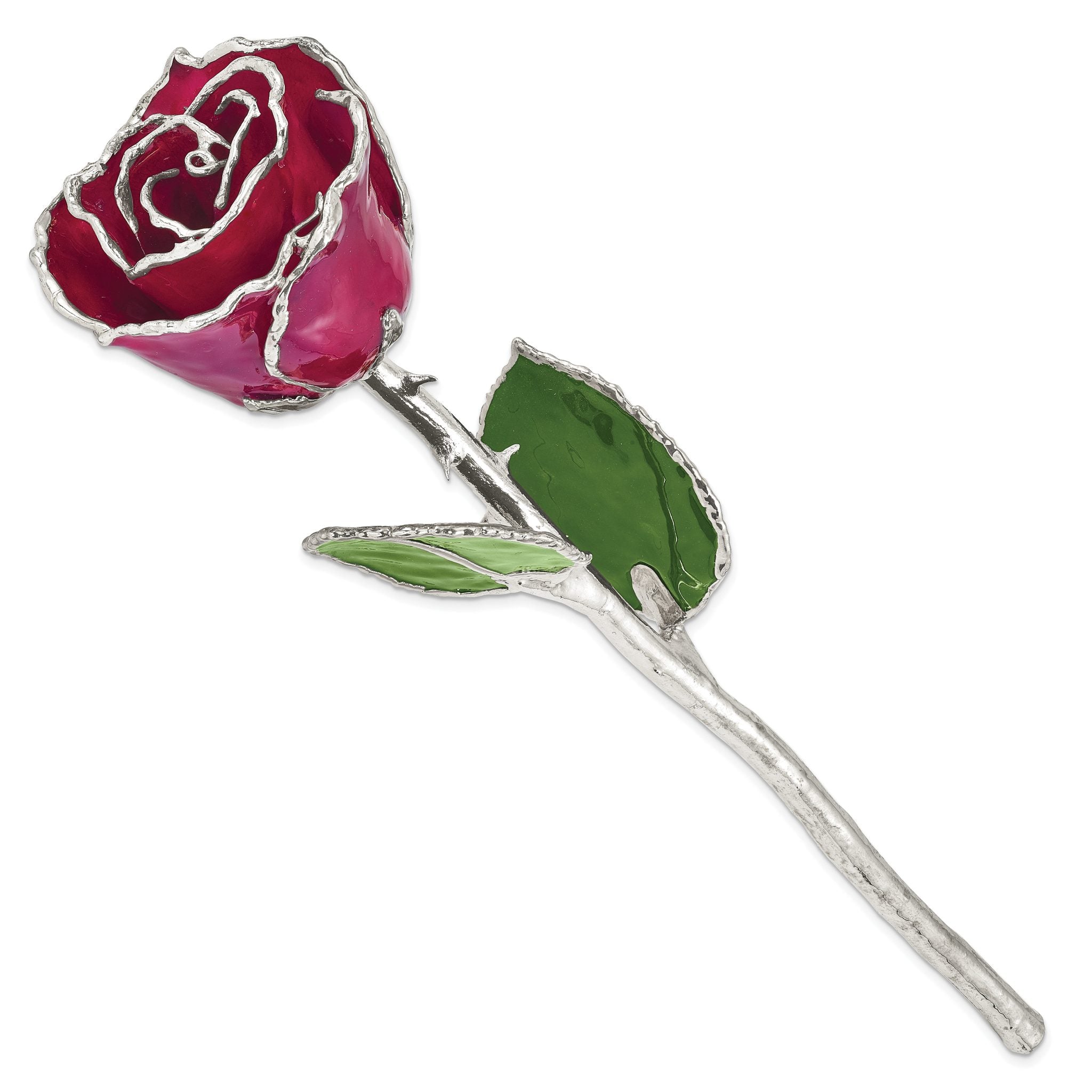 Burgundy Lacquer Dipped Silver Trimmed Real Rose Secondary image