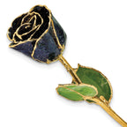 Black Lacquer Dipped Gold Trimmed with Glitter Real Rose
