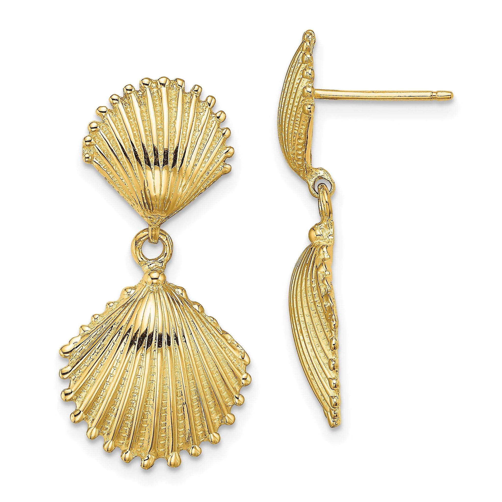 14K Polished Scallop Shell Dangle Earrings Main image