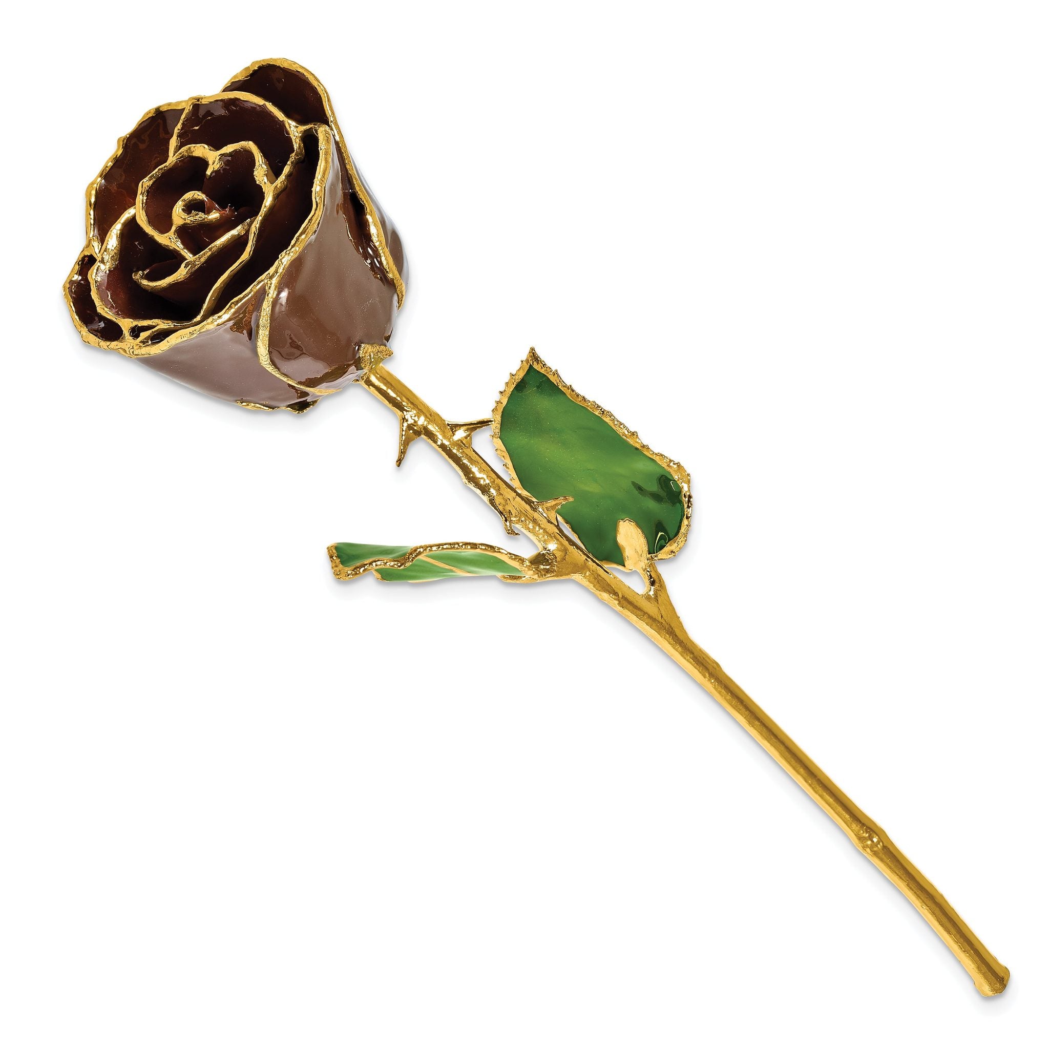 Lacquer Dipped Gold Trim Chocolate Brown Rose Secondary image