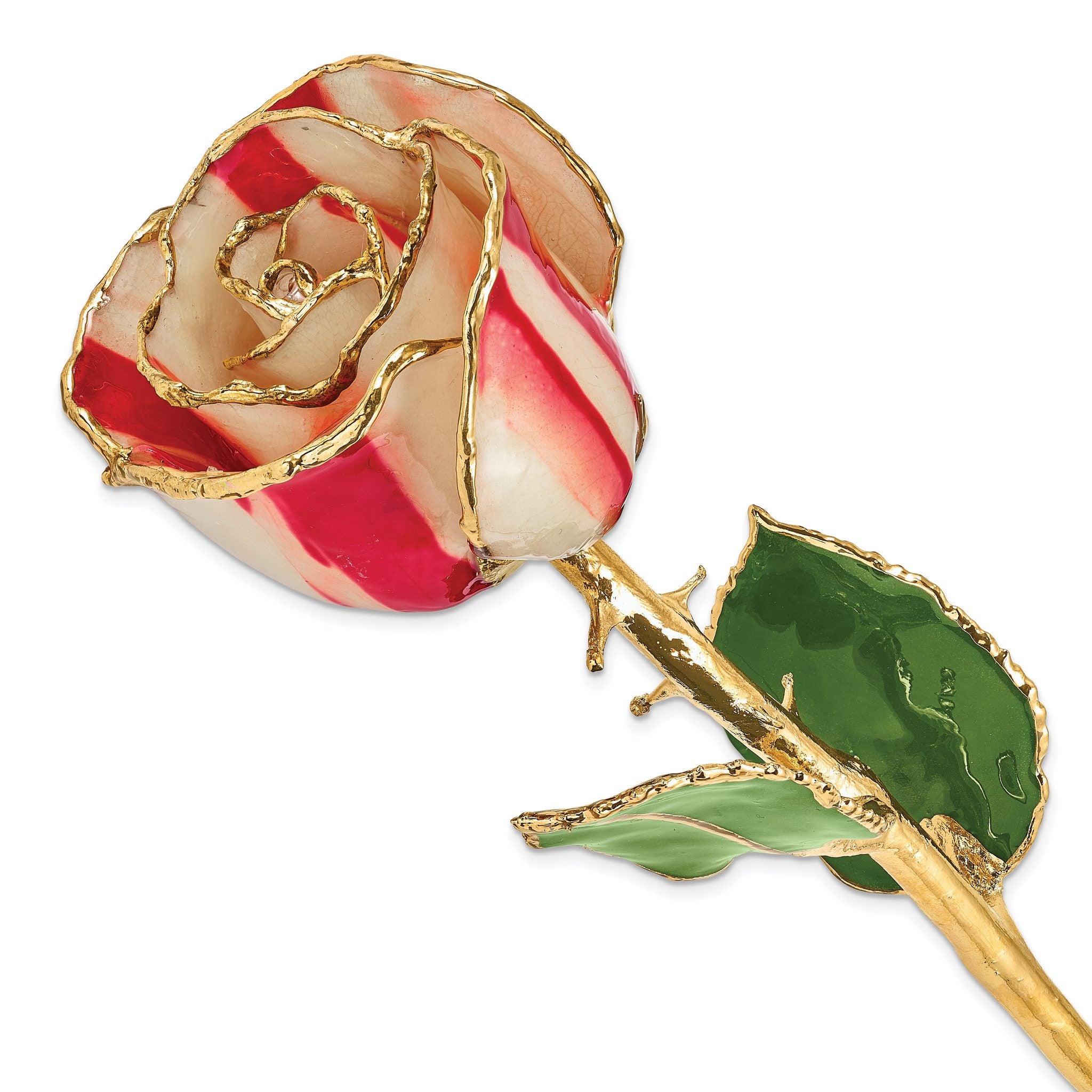Lacquer Dipped Gold Trimmed Peppermint Real Rose Main image