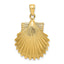 14K Polished Scallop Shell Charm