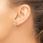 14k 1/8 carat Lab Grown Diamond VS/SI+ G+ Complete Hinged Hoop Earrings