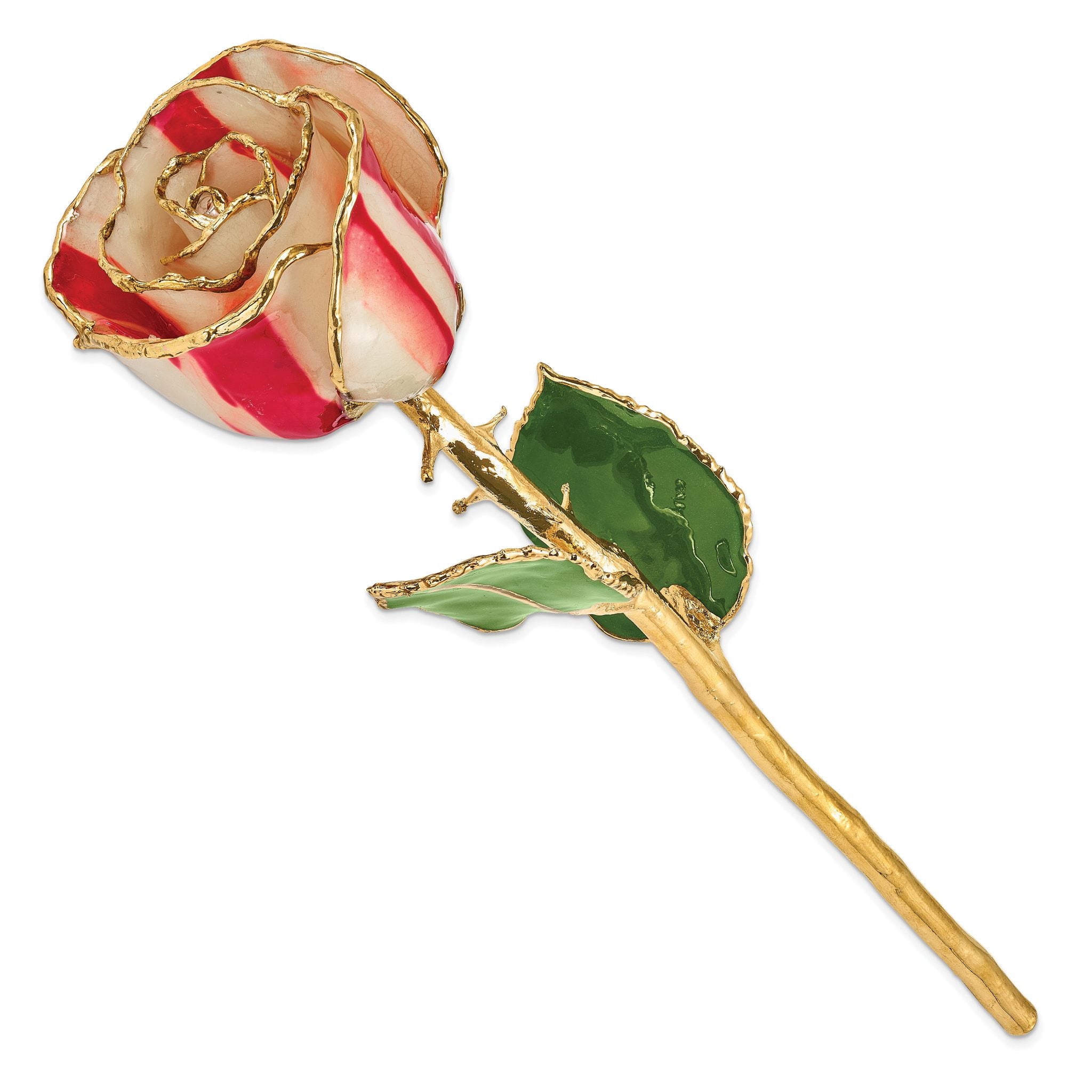 Lacquer Dipped Gold Trimmed Peppermint Real Rose Secondary image