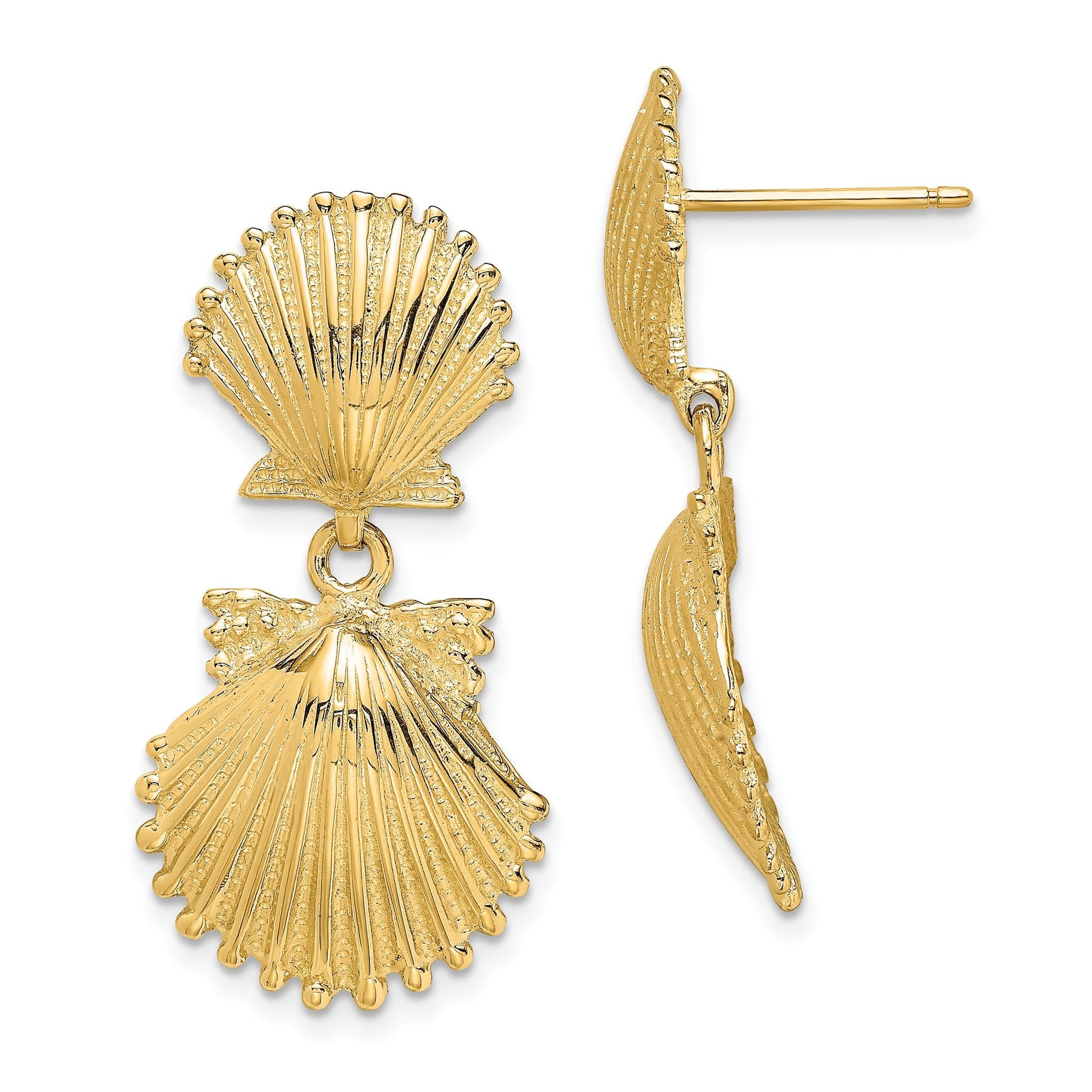 14K Double Scallop Shell Dangle Earrings Main image