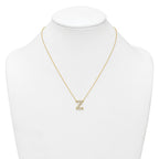 14k 3/8 carat Lab Grown Diamond VS+ F+ Complete Letter Z 18 inch Initial Necklace