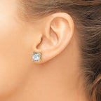 14K Yellow Gold 6 ct Certified Lab-Created Diamond VS/SI+ G+, Princess-Cut 4-Prong Stud Earrings