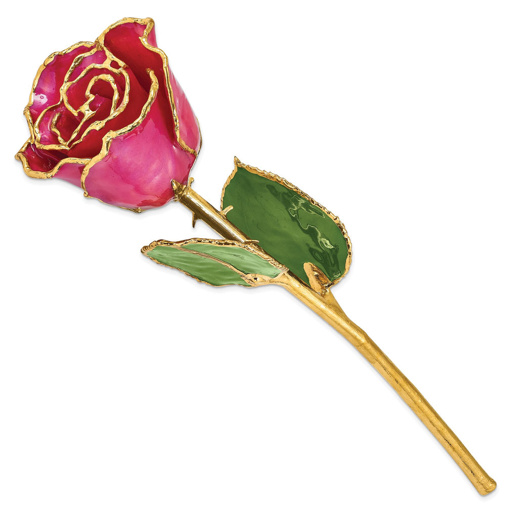 Lacquer Dipped Gold Trimmed Plum Fuchsia Real Rose