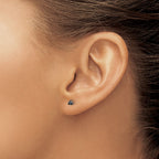 Stainless Steel Polished Black Cubic Zirconia Stud Earrings