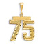 14K Gold Large Diamond-Cut Number 75 Charm with Brushed Finish