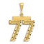 14K Gold Large Diamond-Cut Number 77 Charm with Brushed Finish