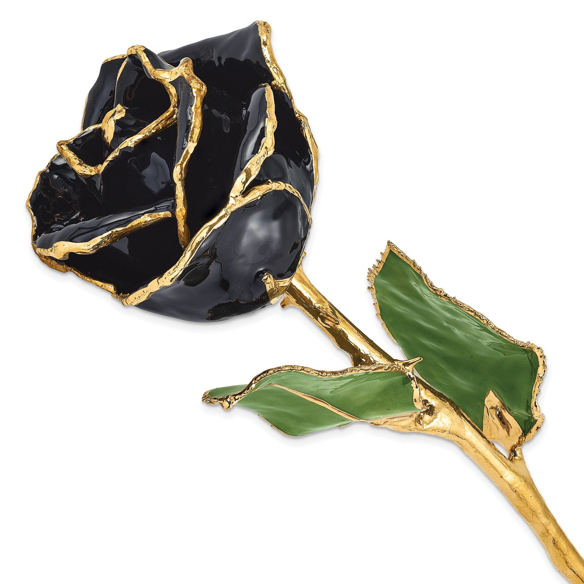 Lacquer Dipped Gold Trimmed Black Real Rose Main image