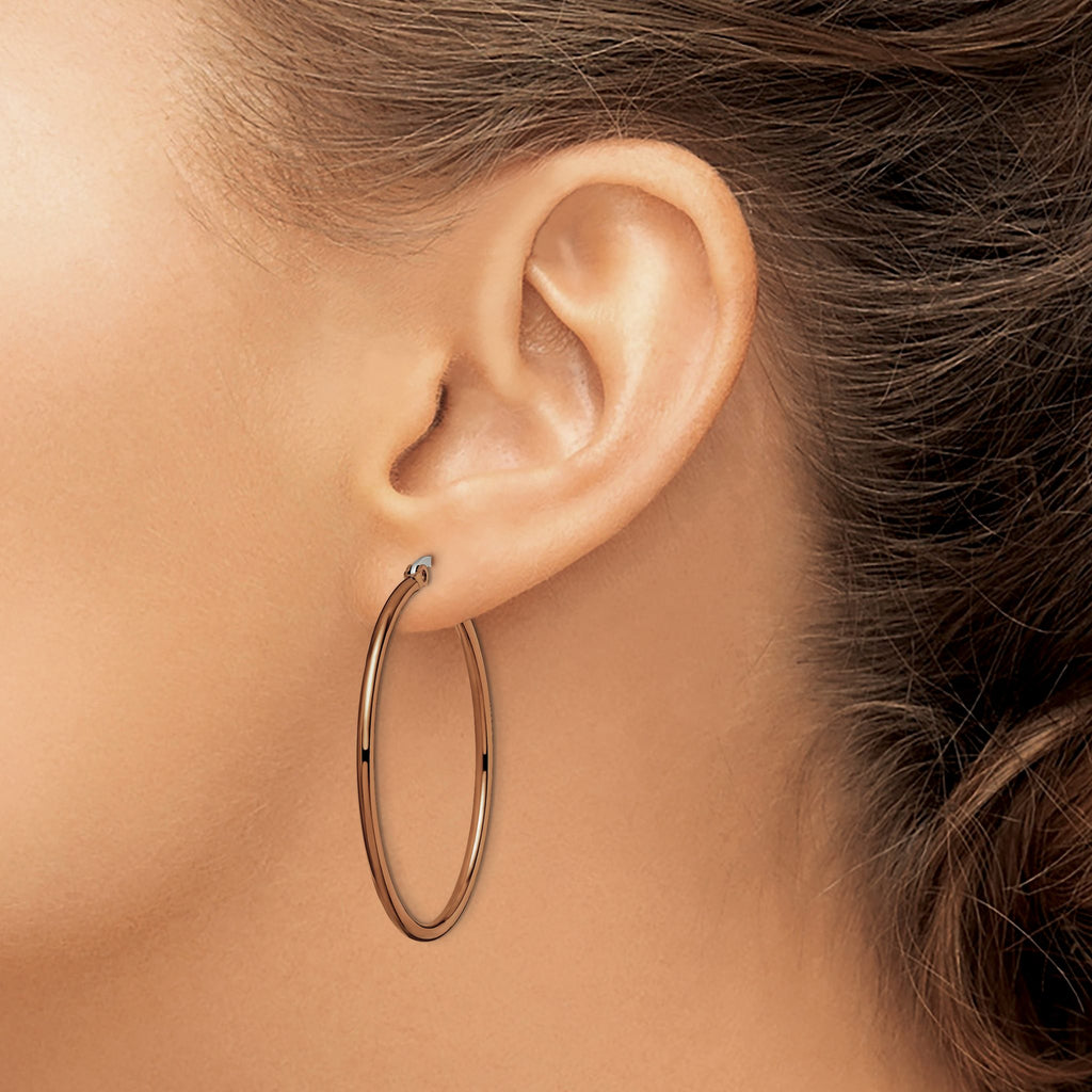 Stainless Steel Brown Polished Hoop Earrings for Women