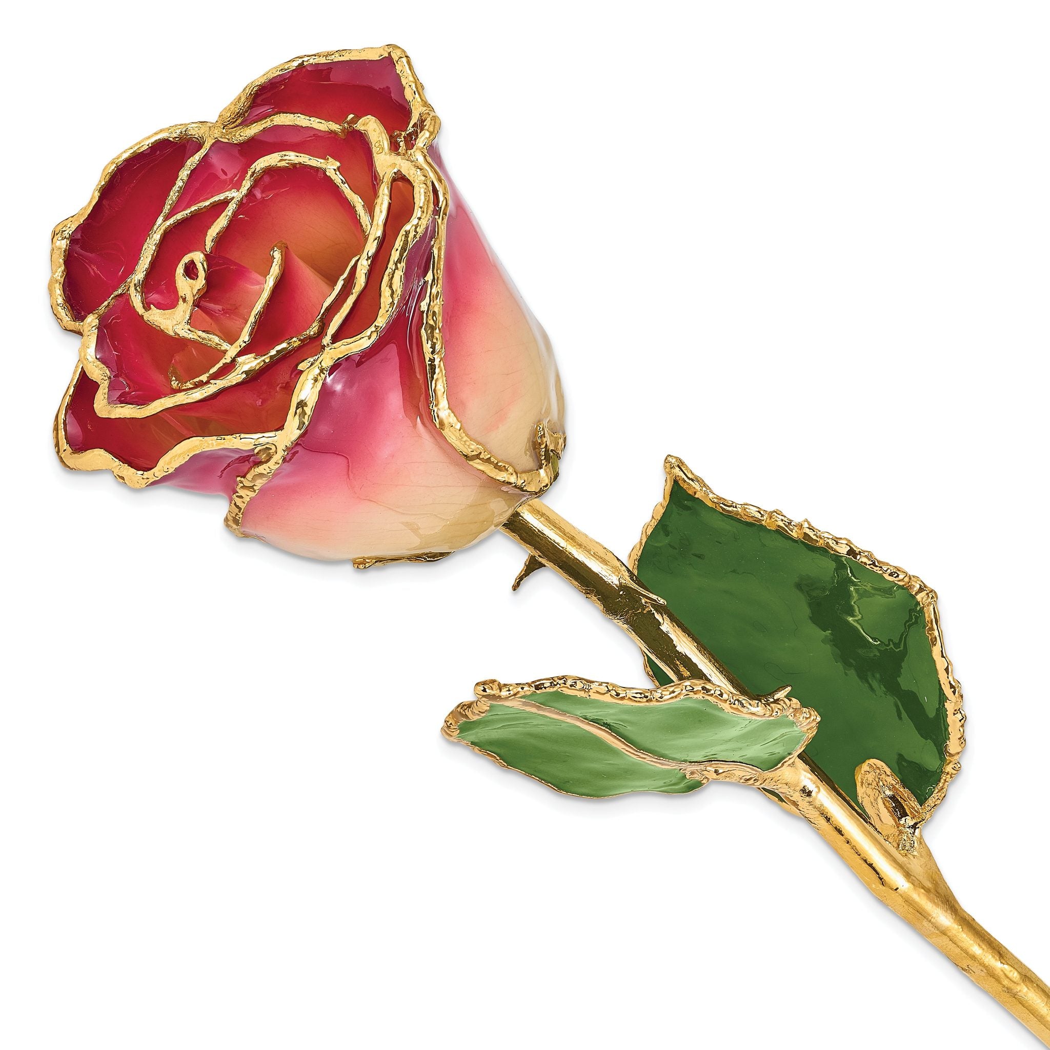 Lacquer Dipped Gold Trimmed White and Burgundy Real Rose Main image