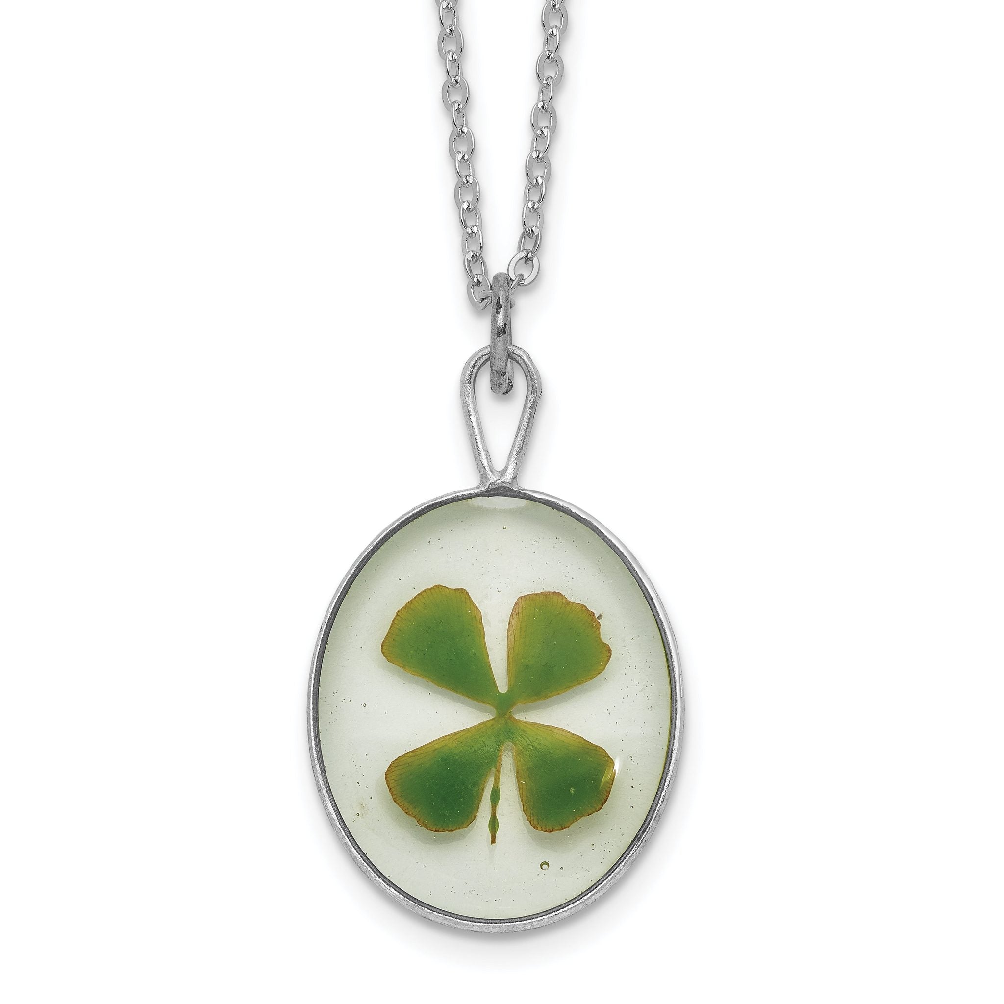 Silver Trim Real Four Leaf Clover in Oval 20 inch Silver-plated Chain Necklace Main image
