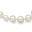 Majestik Sterling Silver Shell Pearl Necklace with Rhodium Plating