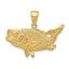 14K Gold Men's Polished Bass Fish Pendant by Sophia Jewelers