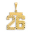 14K Gold Large Diamond-Cut Number 26 Charm with Brushed Finish