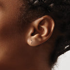 Stainless Steel Rose Gold-Tone Polished Button Earrings