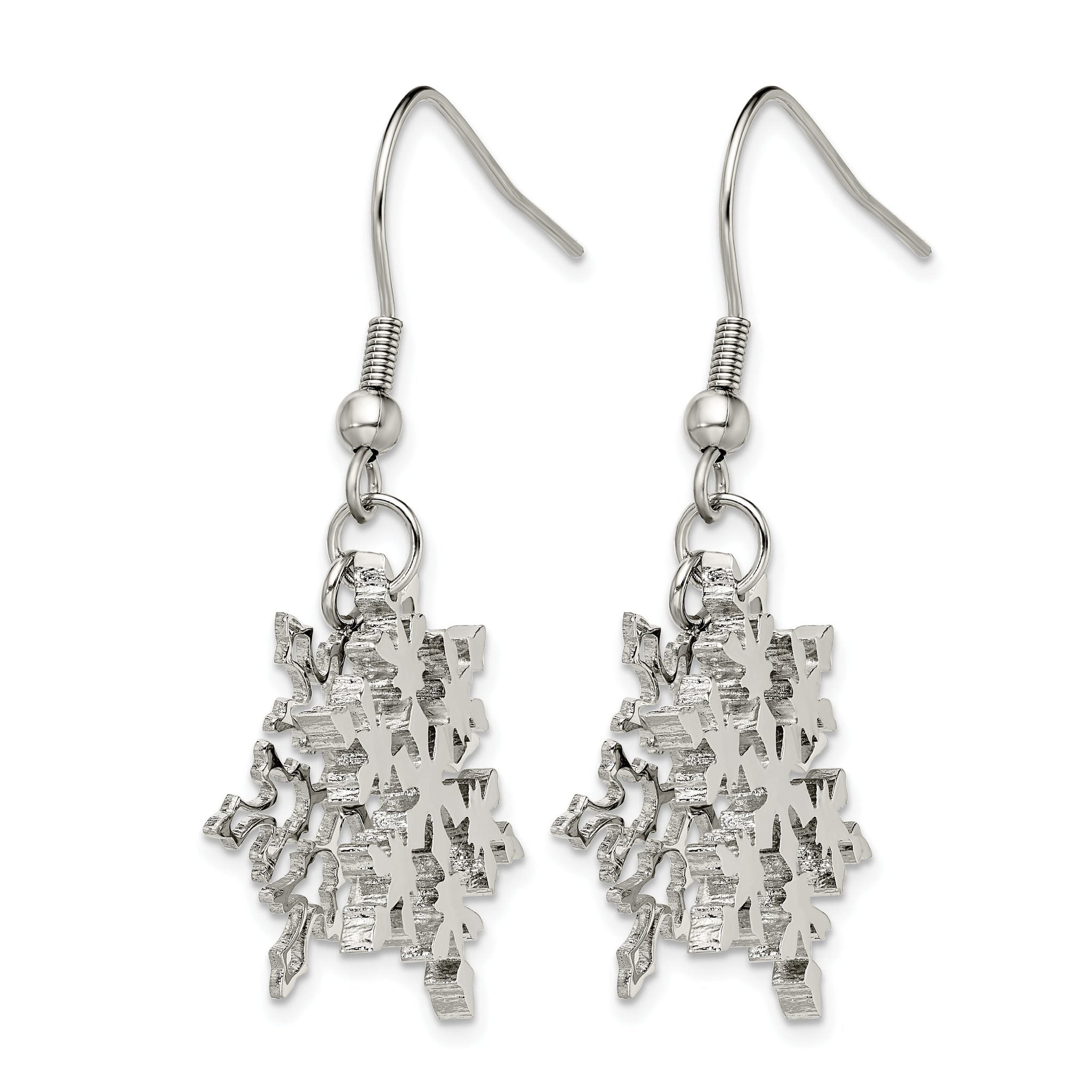Stainless Steel Polished Drop Dangle Earrings for Women Secondary image