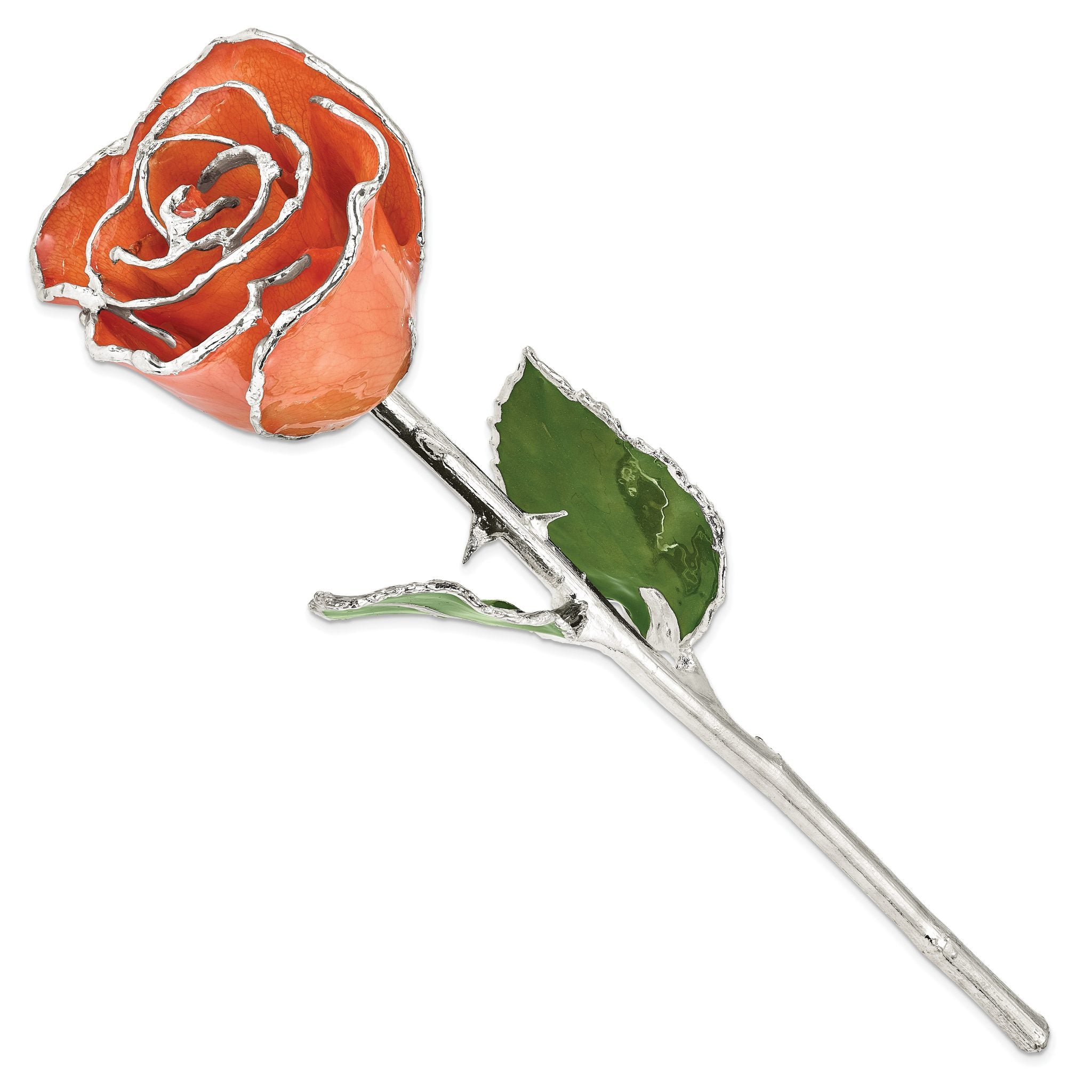 Orange Lacquer Dipped Silver Trimmed Real Rose Secondary image