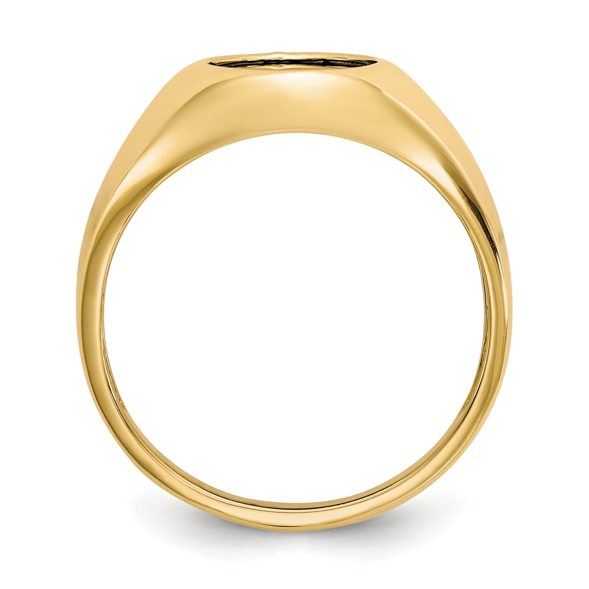 10k Onyx Mens Ring Secondary image