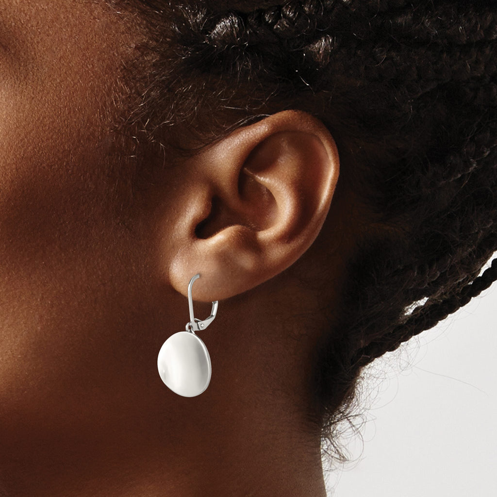 Stainless Steel Polished Drop Dangle Earrings for Women