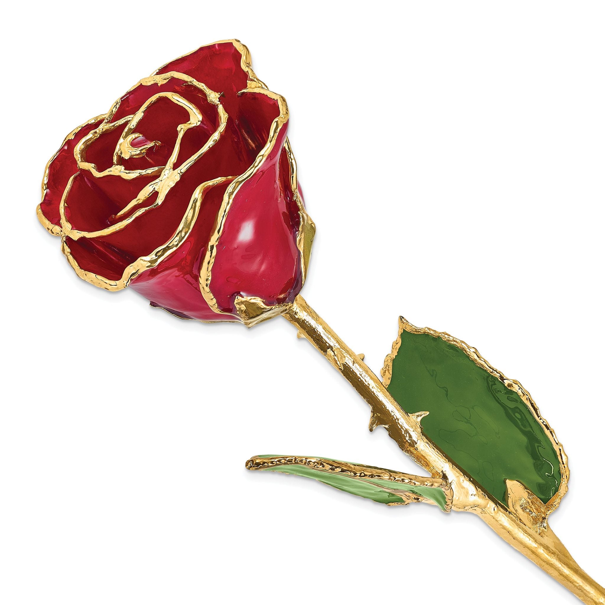 Lacquer Dipped Gold Trimmed Red Real Rose Main image