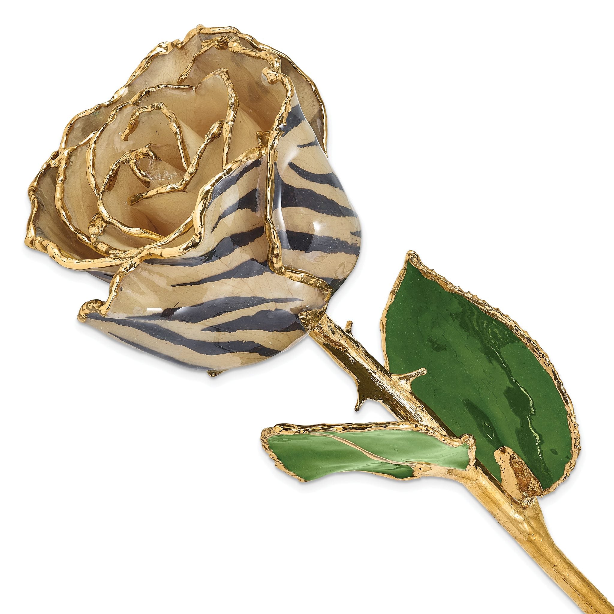 Lacquer Dipped 24k Gold Trimmed Cream/Black Zebra Real Rose Main image