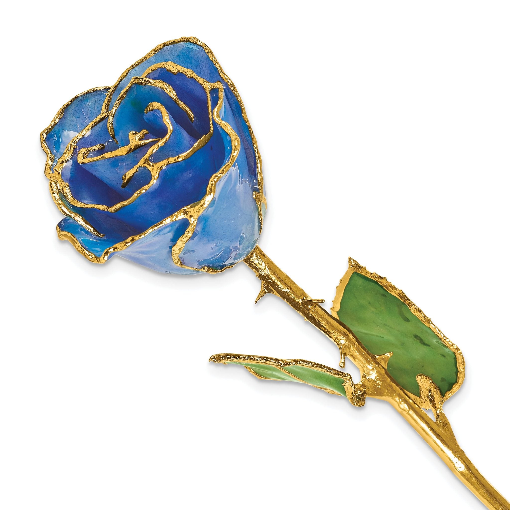 Lacquer Dipped Gold Trim December Birthstone Tanzanite Rose Main image