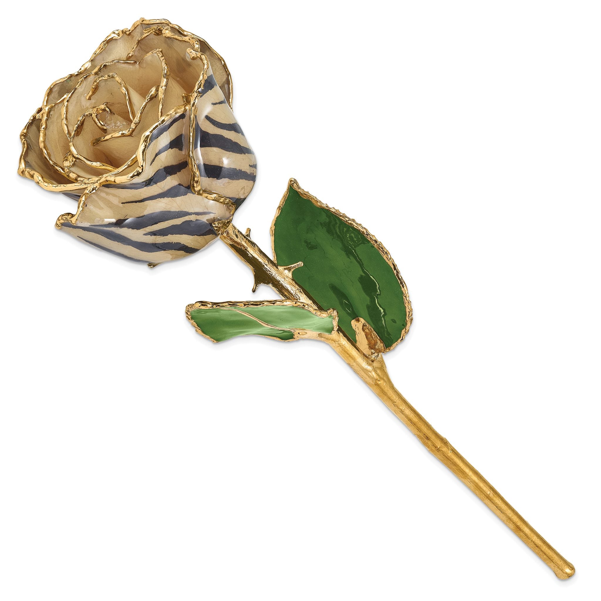 Lacquer Dipped 24k Gold Trimmed Cream/Black Zebra Real Rose