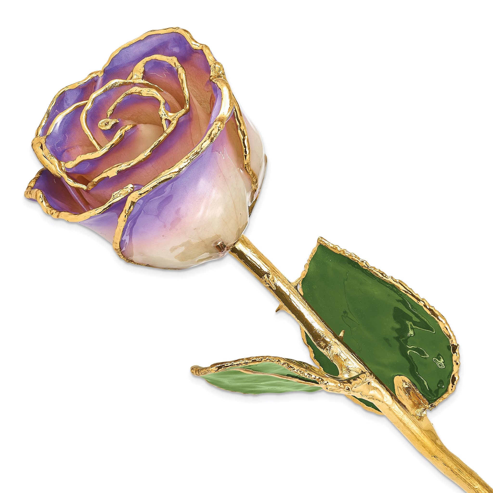 Lacquer Dipped Gold Trimmed White and Blue Opal Real Rose Main image
