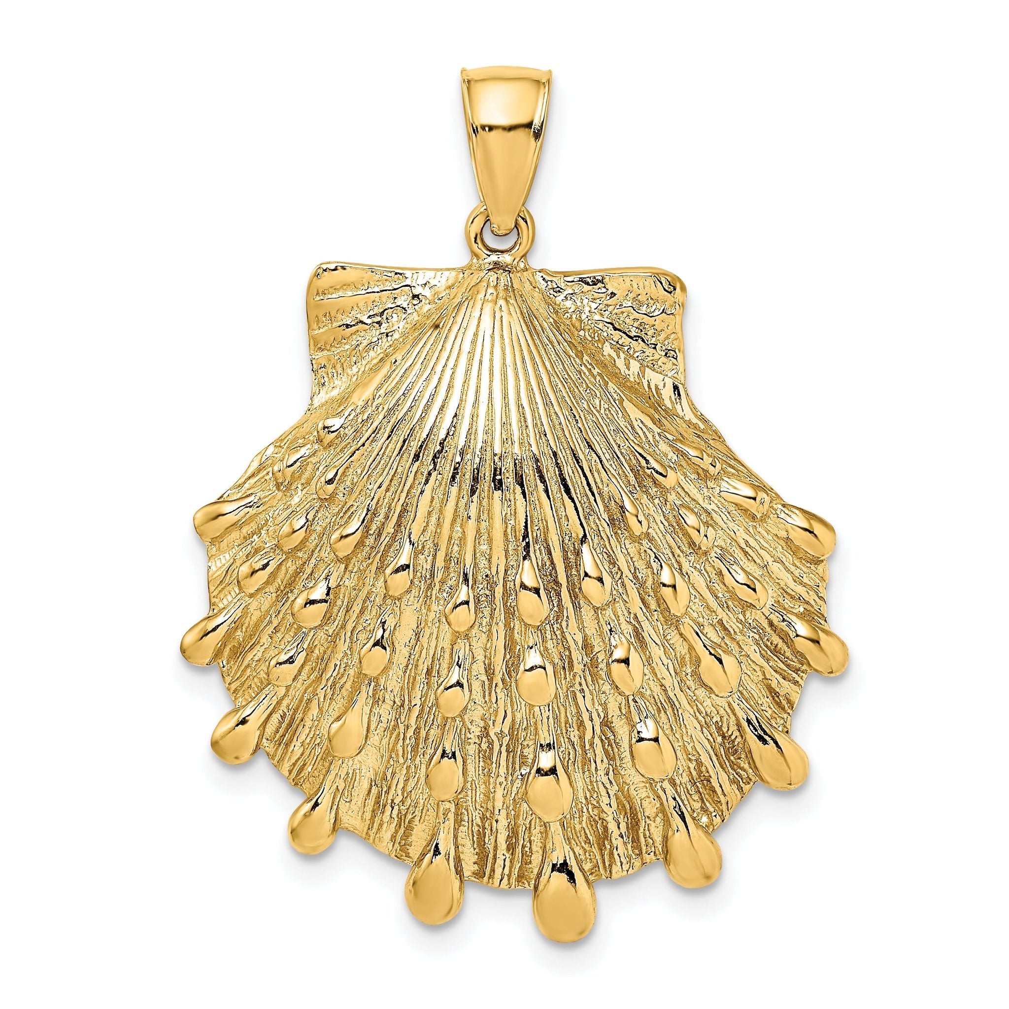 14K Lion's Paw Shell Charm Main image