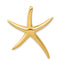 14K Gold Polished Starfish Slide Pendant for Men's Jewelry