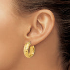 14k Polished and D/C Half Round Circle Hoop Earrings